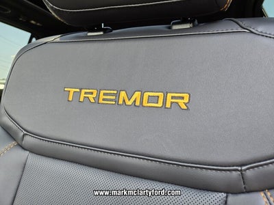 2025 Ford Expedition Tremor