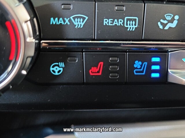 2025 Ford F-250SD Platinum