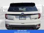 2024 Honda Passport Black Edition